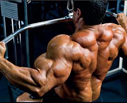 Хороший широчайших тренинг мышц спины