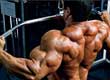 Хороший широчайших тренинг мышц спины